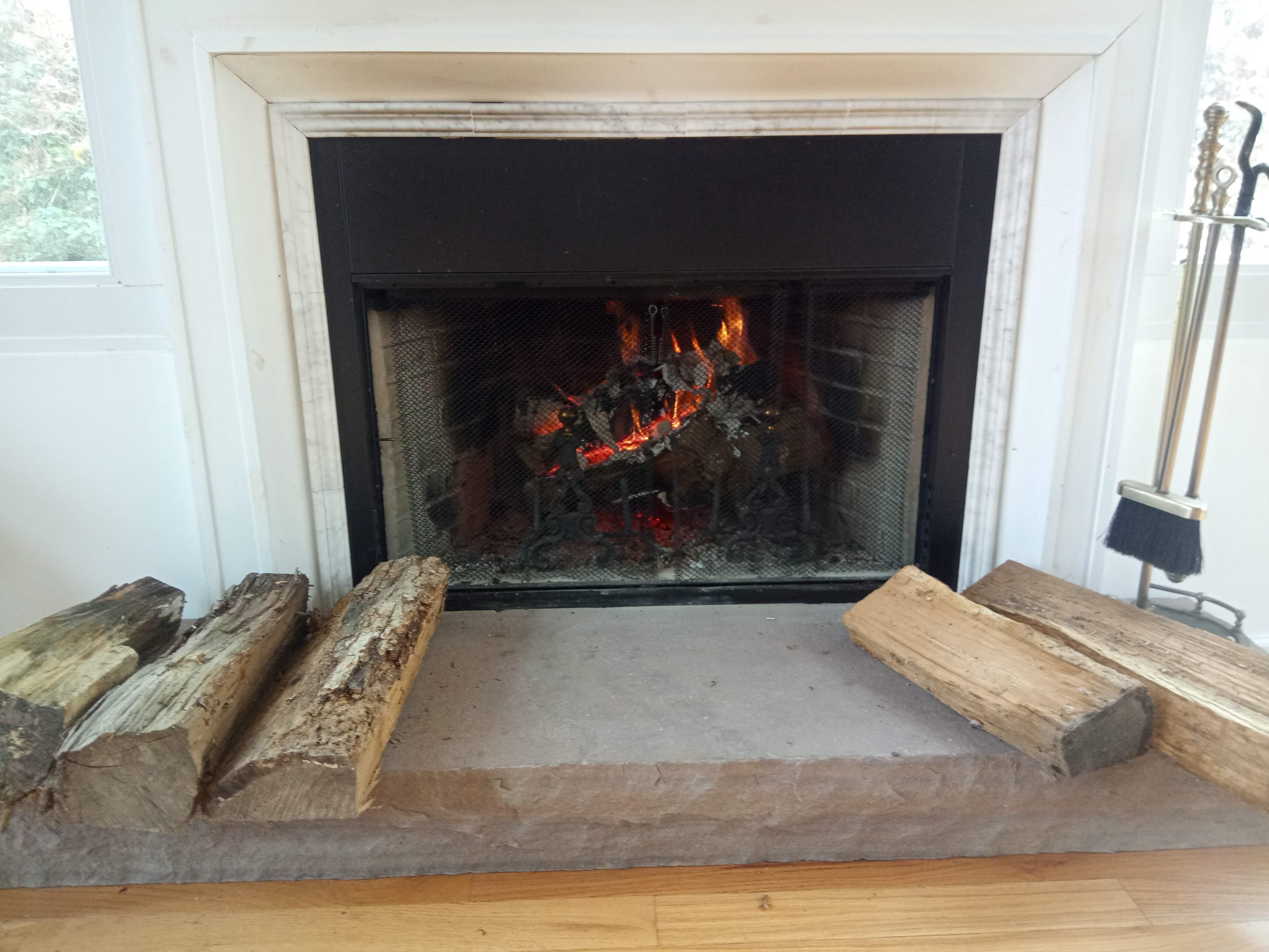 Wood Fireplace in the "sun room"