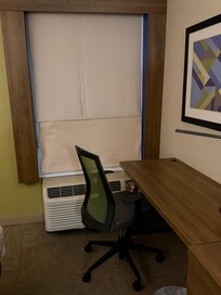 The room is totally plain and not at all interesting like a Hampton! Also shows torn shade.