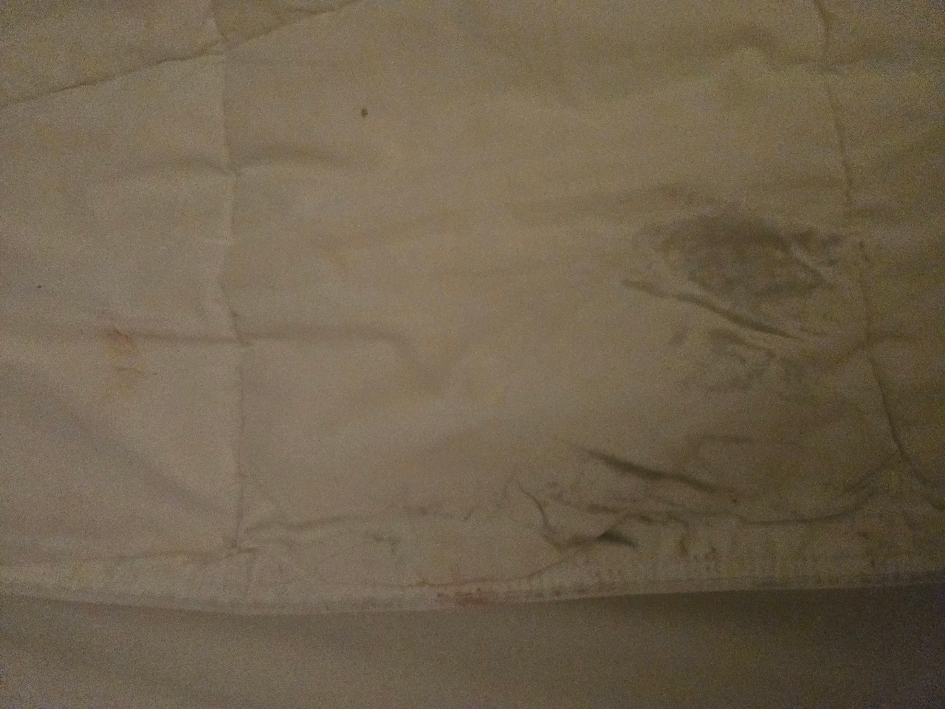 This was the dirty sheet 