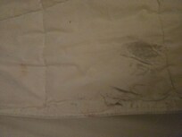 This was the dirty sheet