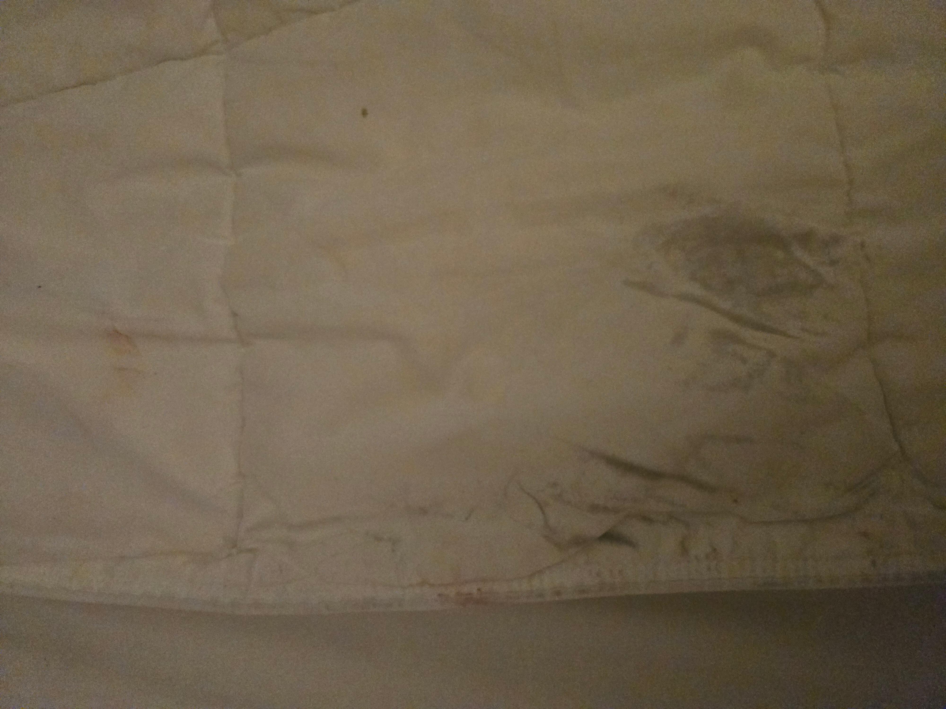 This was the dirty sheet 