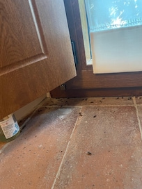 Fliegenplage im Badezimmer (den gesamten Aufenthalt)