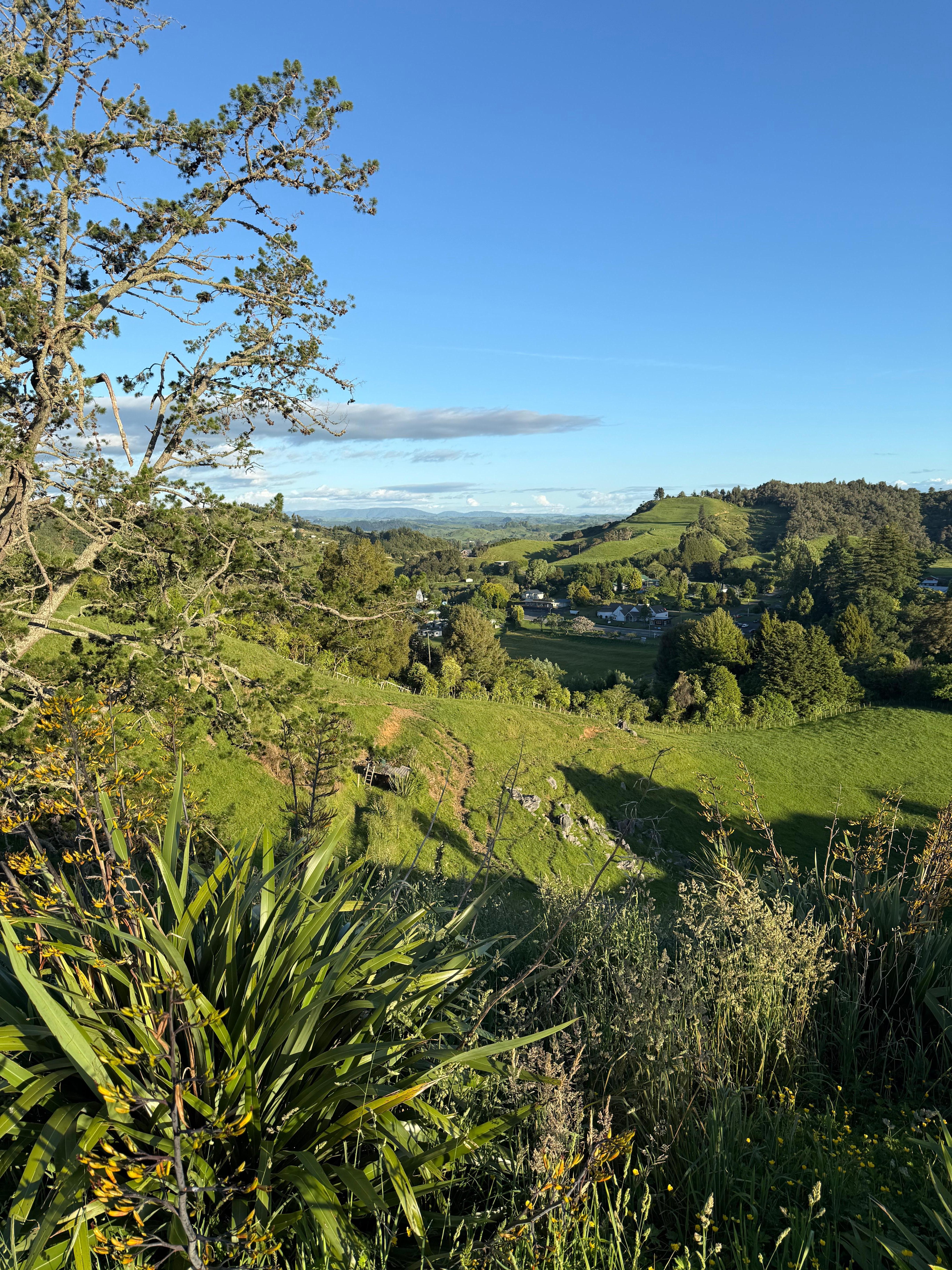 View from Waitomo walkway