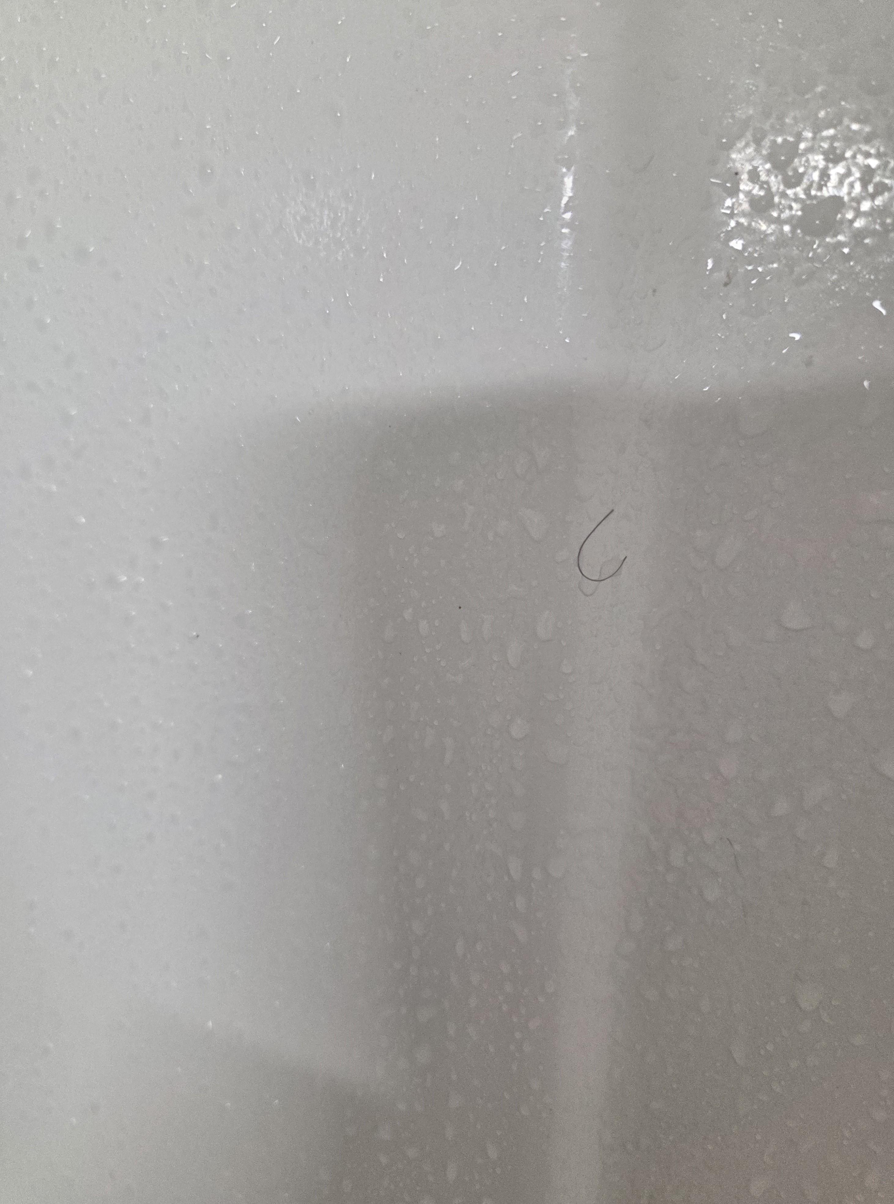 Ew! Not my hair in shower!