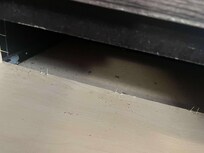 roaches and not sure what else