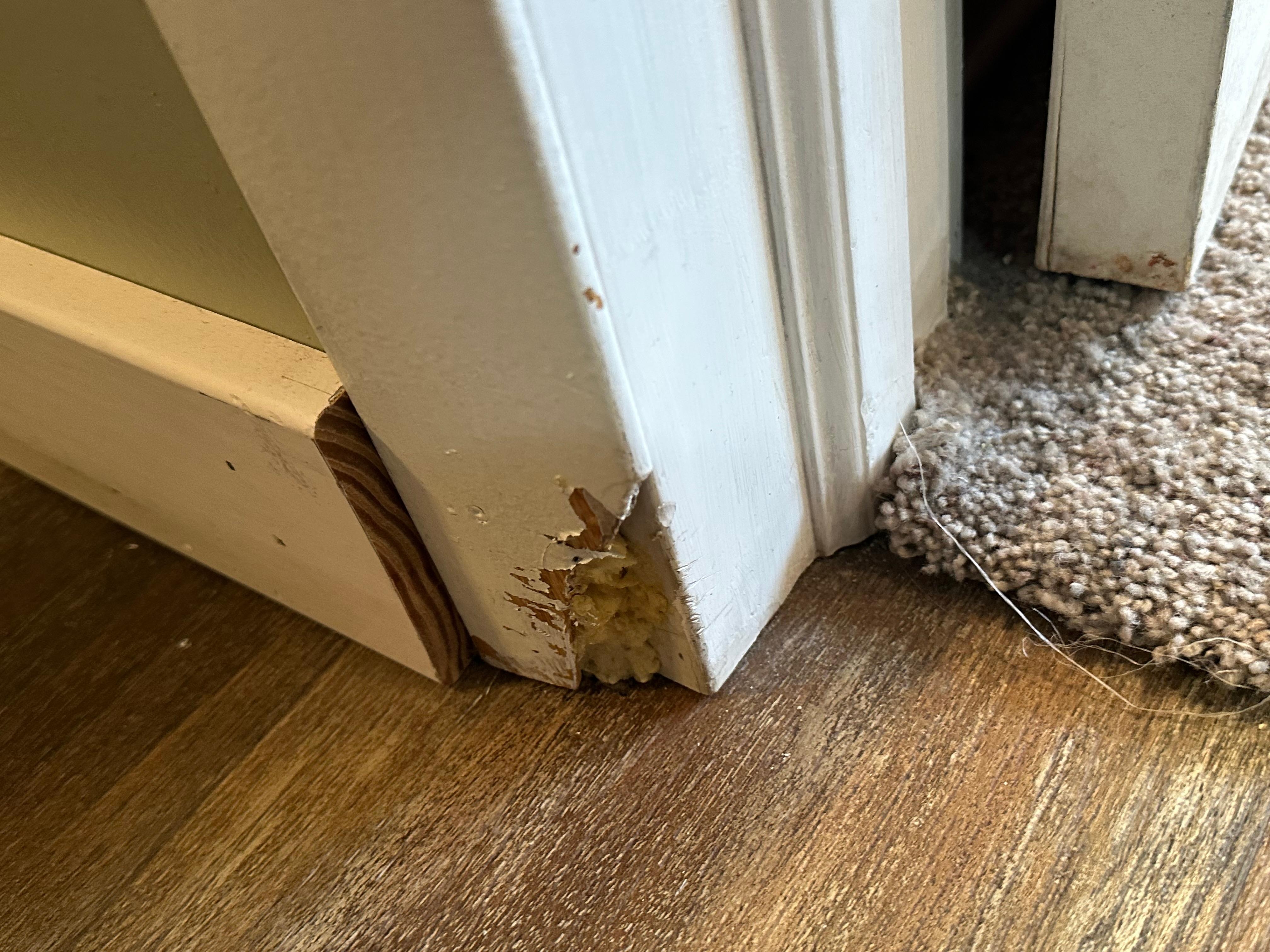 trim in back part of house