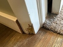 trim in back part of house