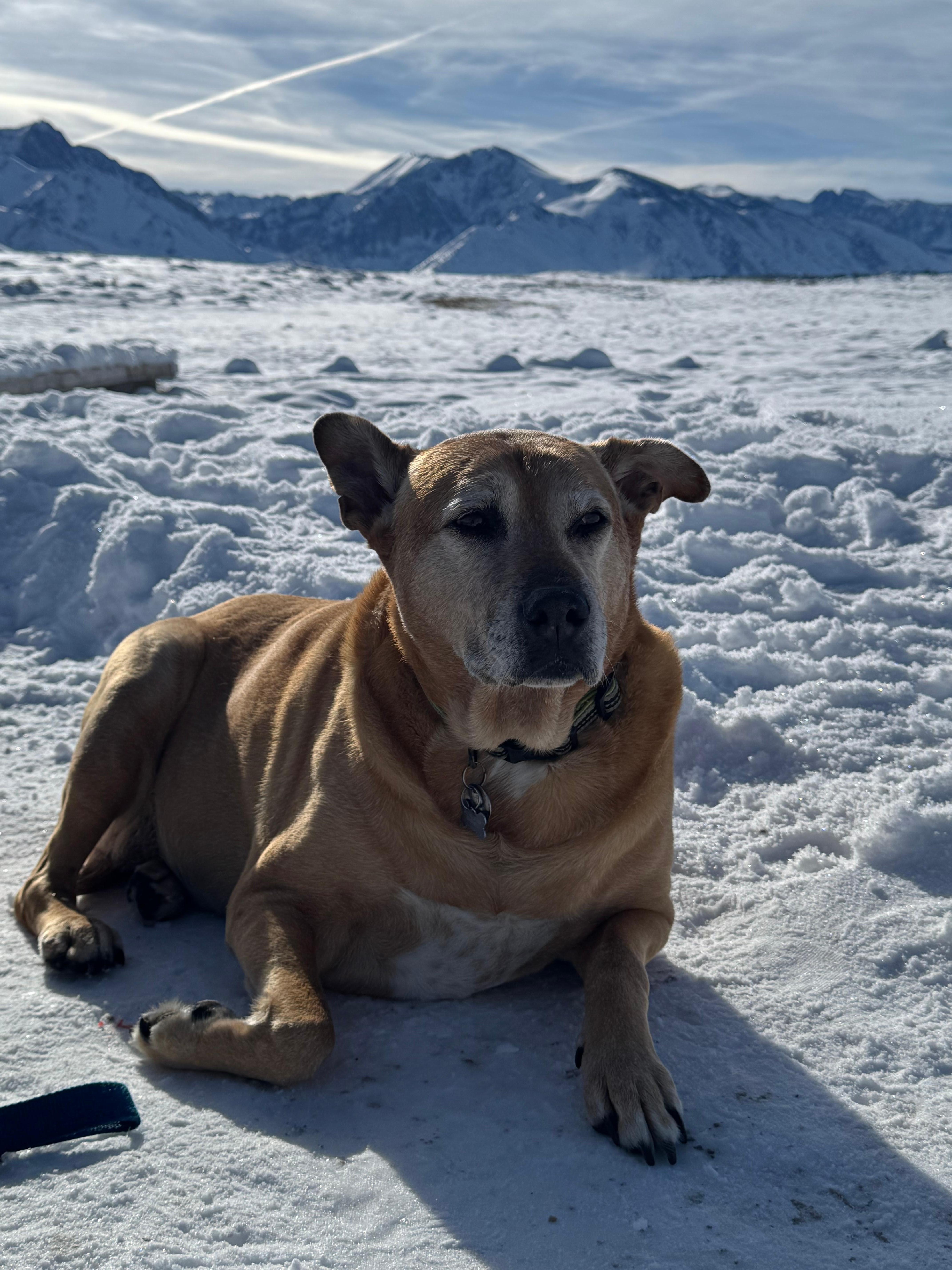 Bella and her family was quite satisfied in this cozy charming home. 