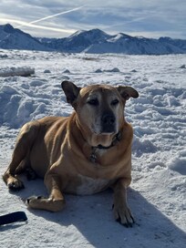 Bella and her family was quite satisfied in this cozy charming home.