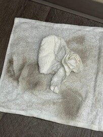 Dirt on the floor they left