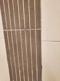 Moisissures dans la douche