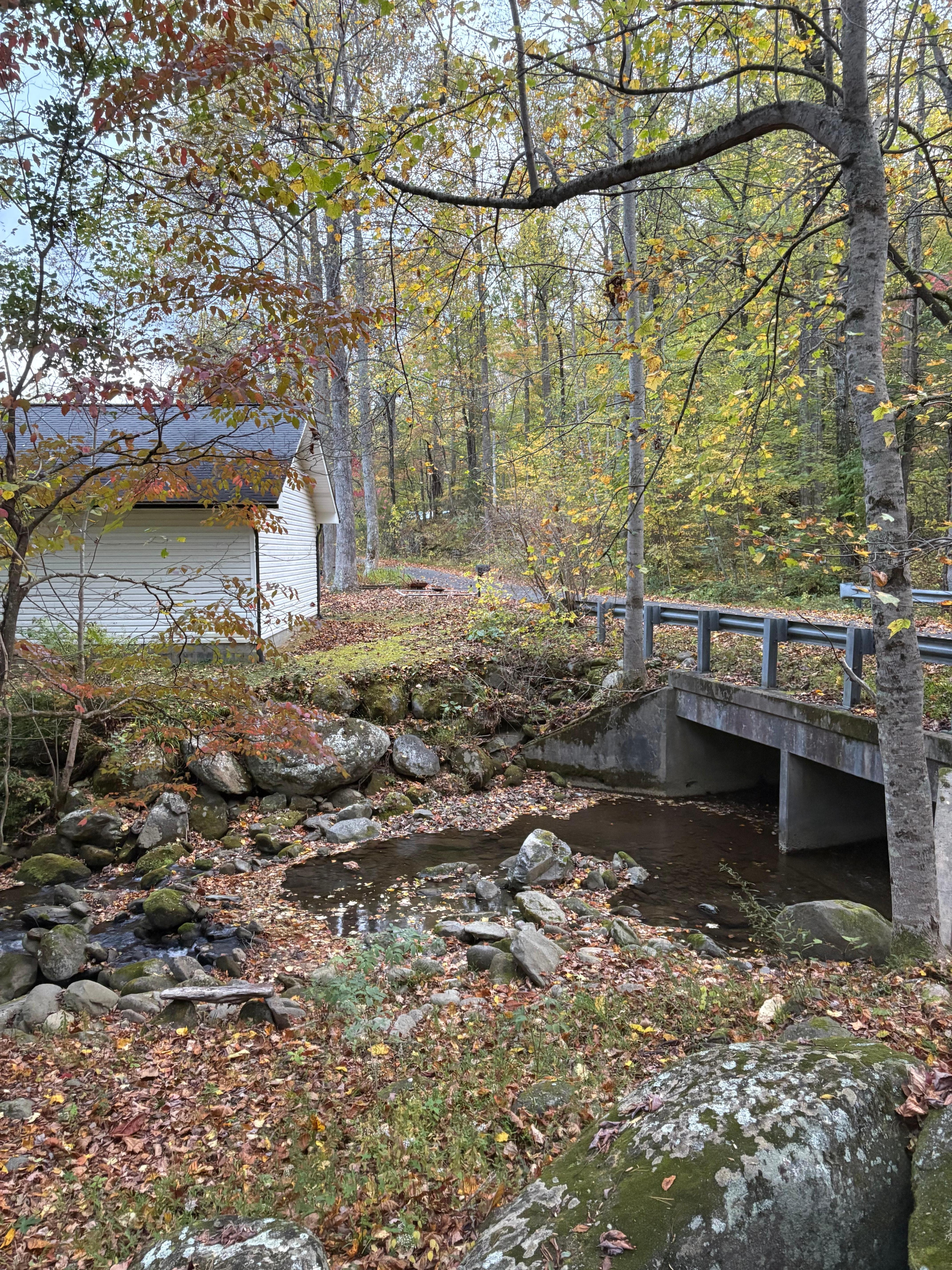 View from the screened porch 