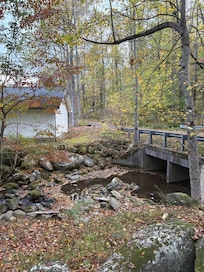 View from the screened porch
