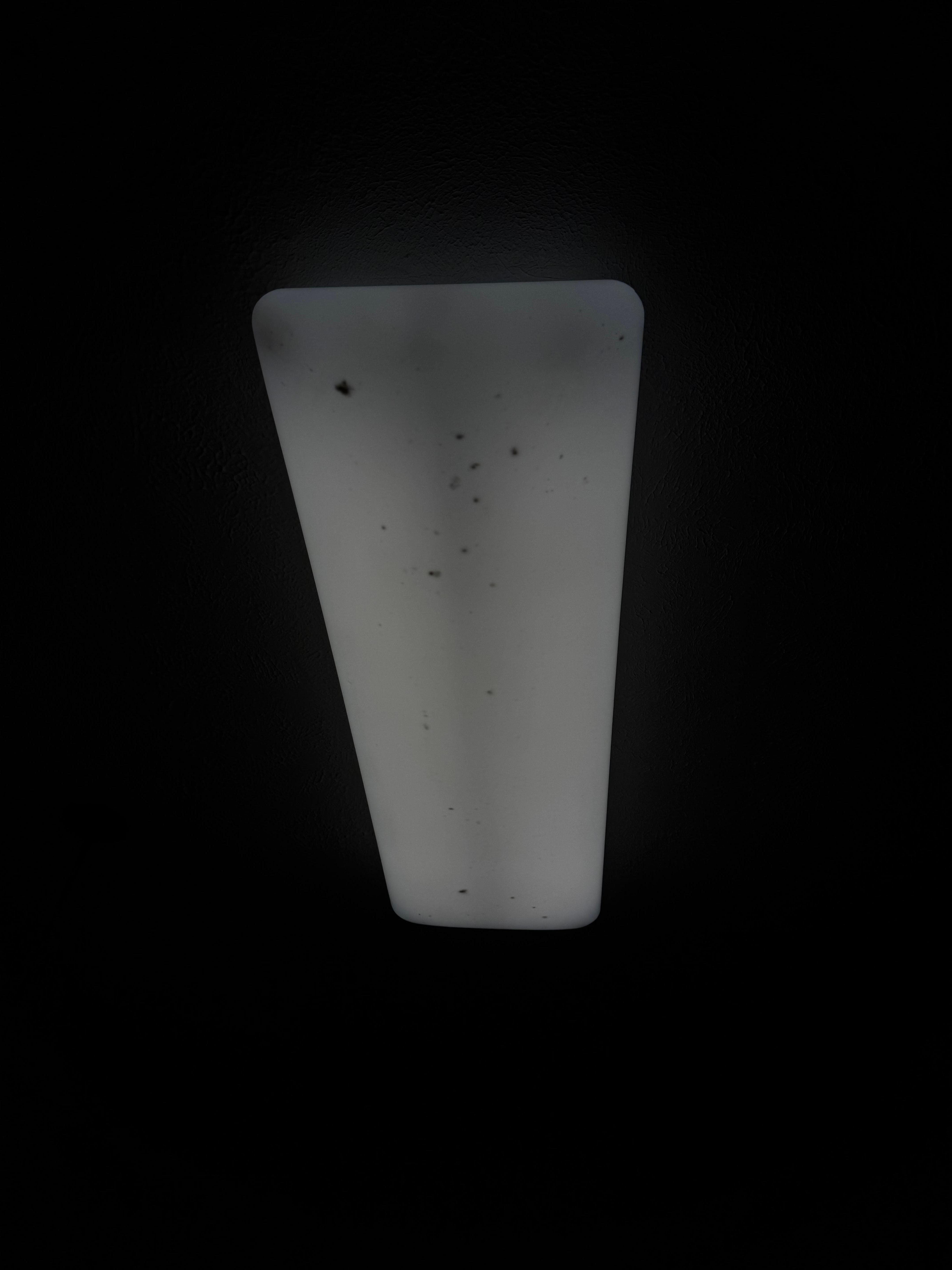 Bugs inside kitchen light