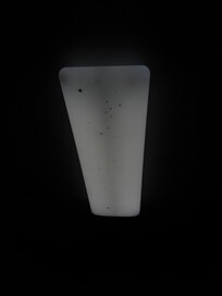 Bugs inside kitchen light