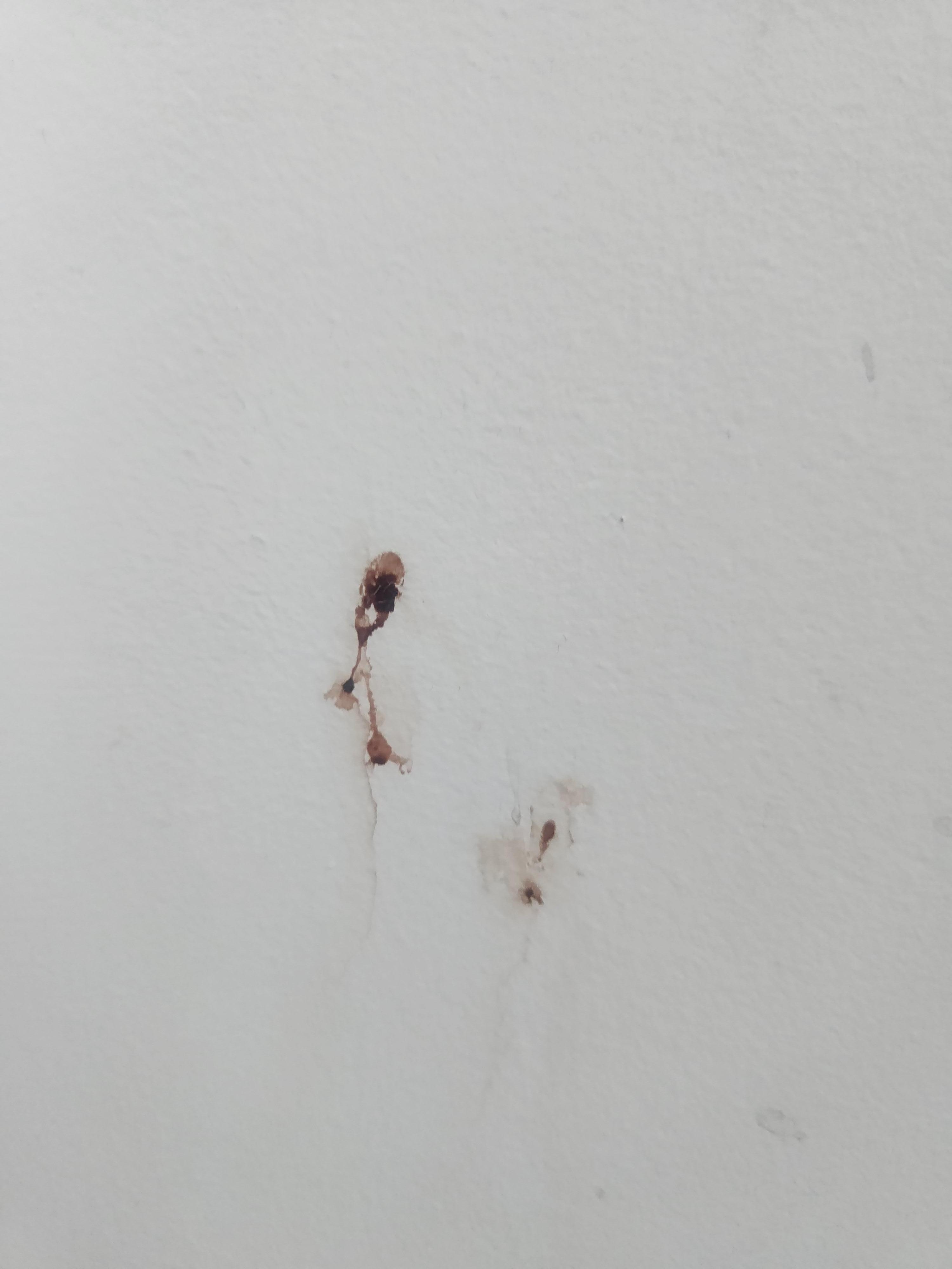 Blood on the bathroom wall