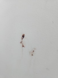 Blood on the bathroom wall