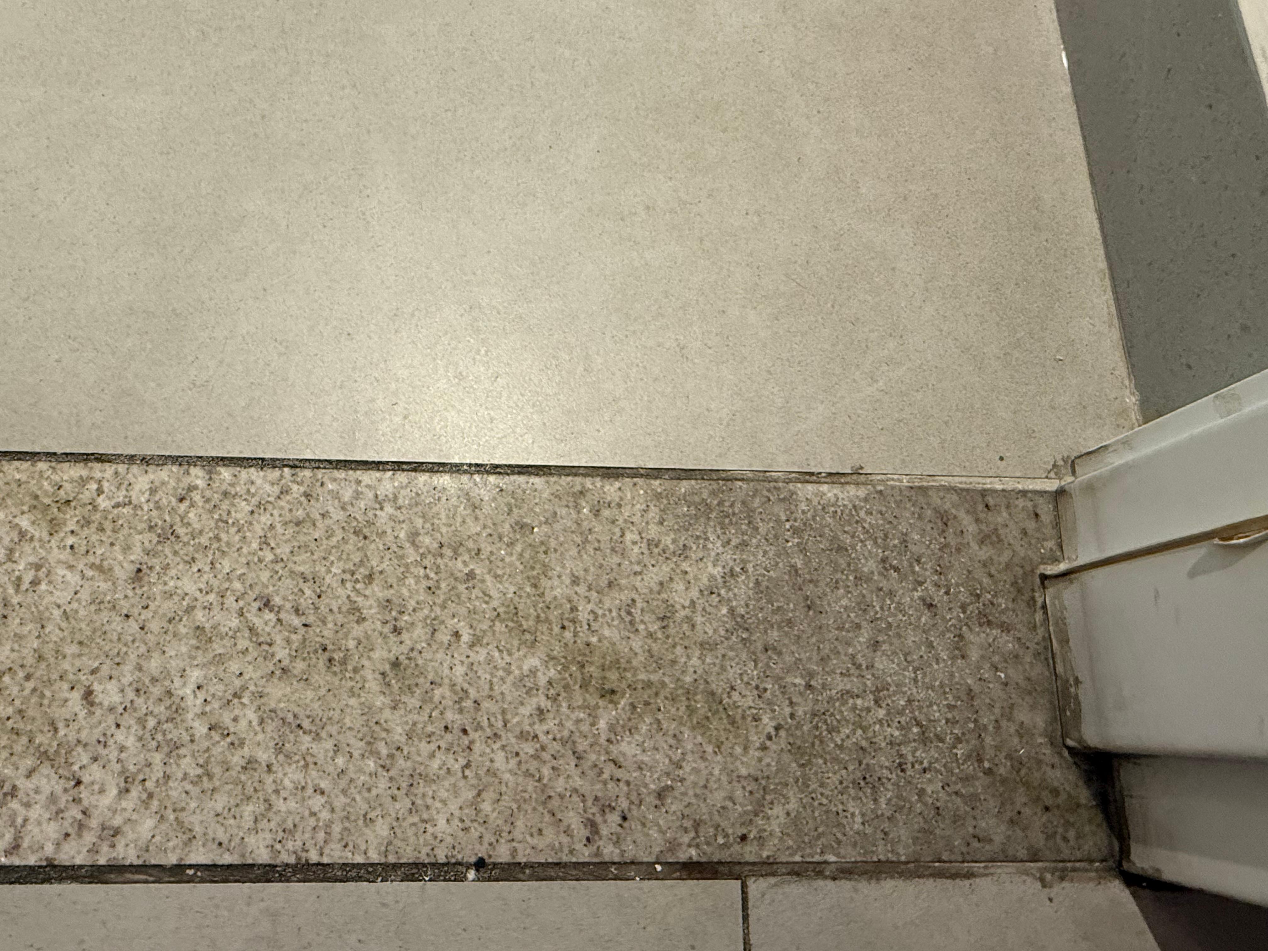 Dirt on entry door