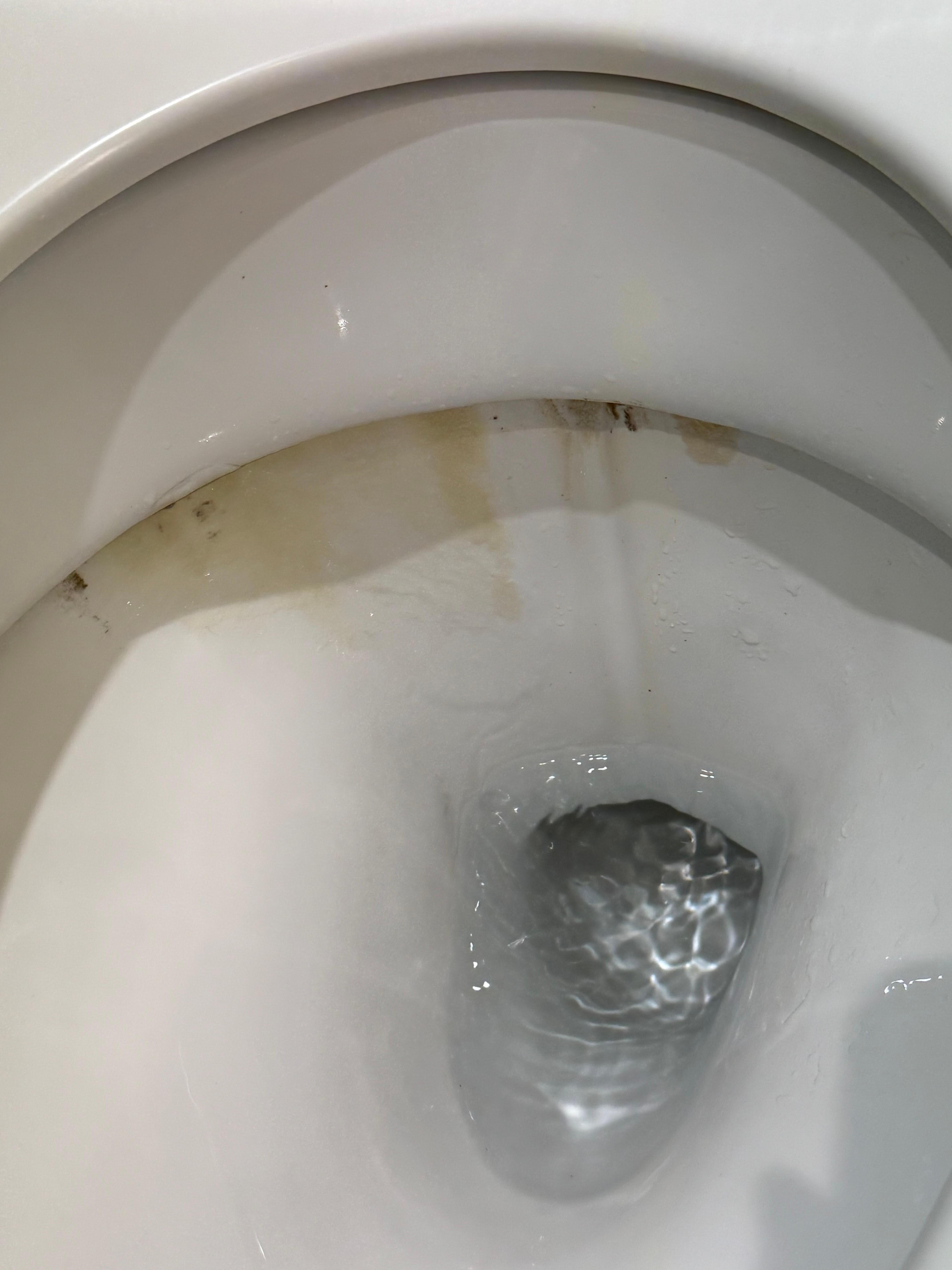 Clean towels and bed linen were thrown on the dirty corridor carpet - dirties were in a bin trolley! Toilet was disgusting and just needed a scrub with bleach. Poor standard of hygiene.