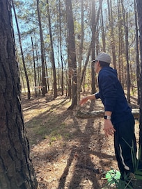 Disc Golf Park 5 minutes away from the hotel