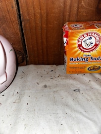 When we initially discovered the droppings in the pantry.