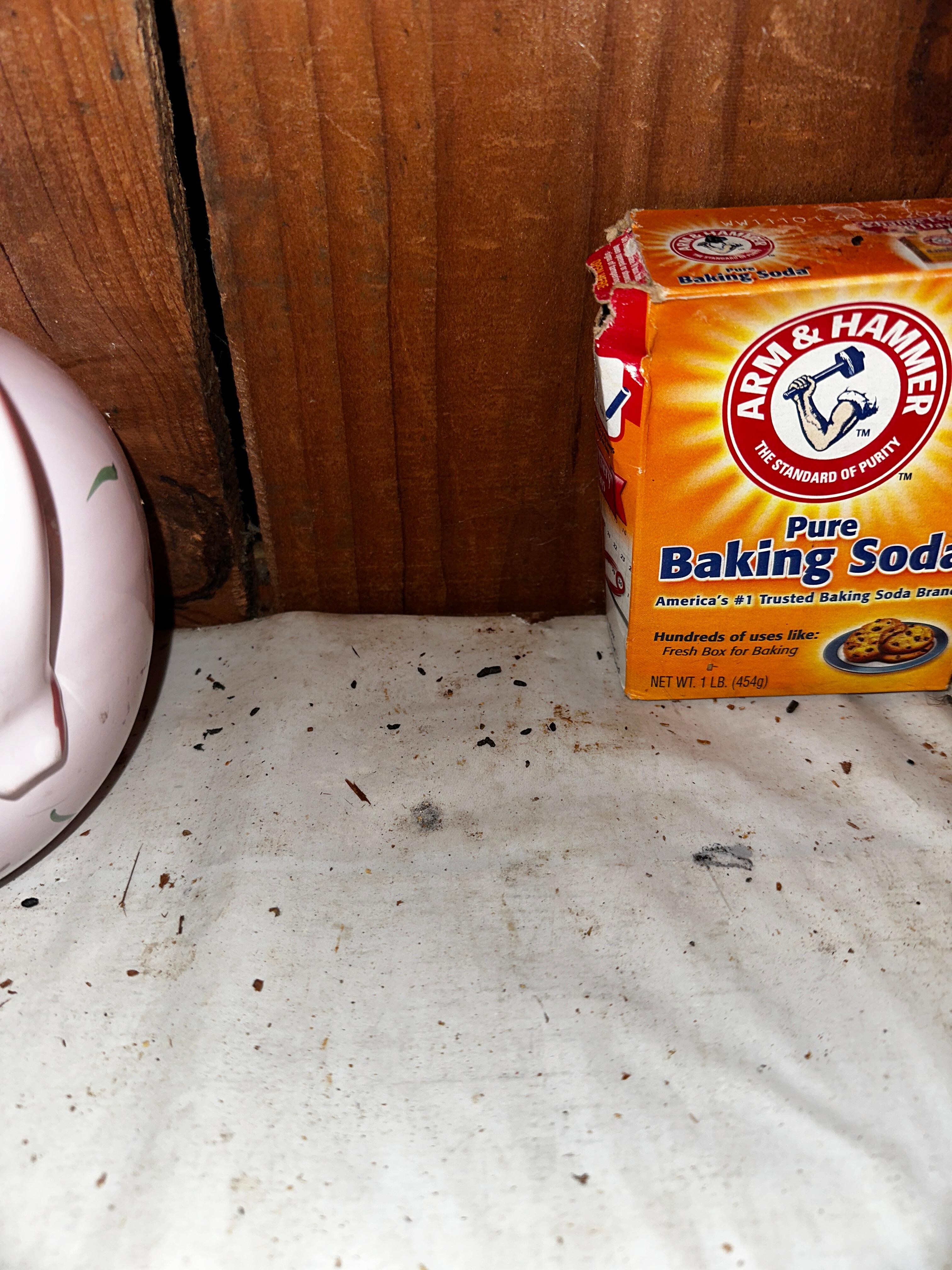 When we initially discovered the droppings in the pantry. 