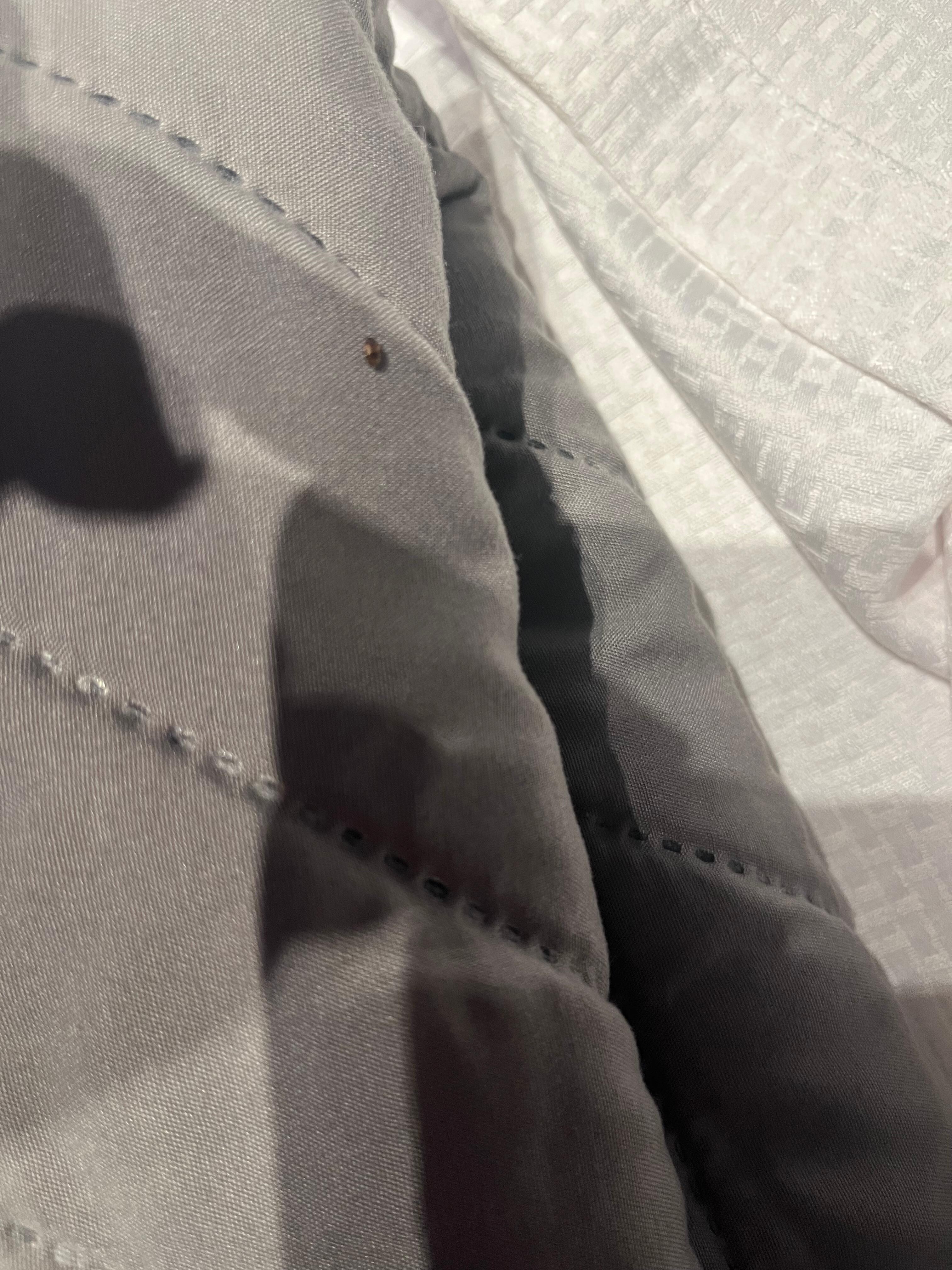 Bed bug on King bed cover on the main floor room we were "upgraded" to without notice.