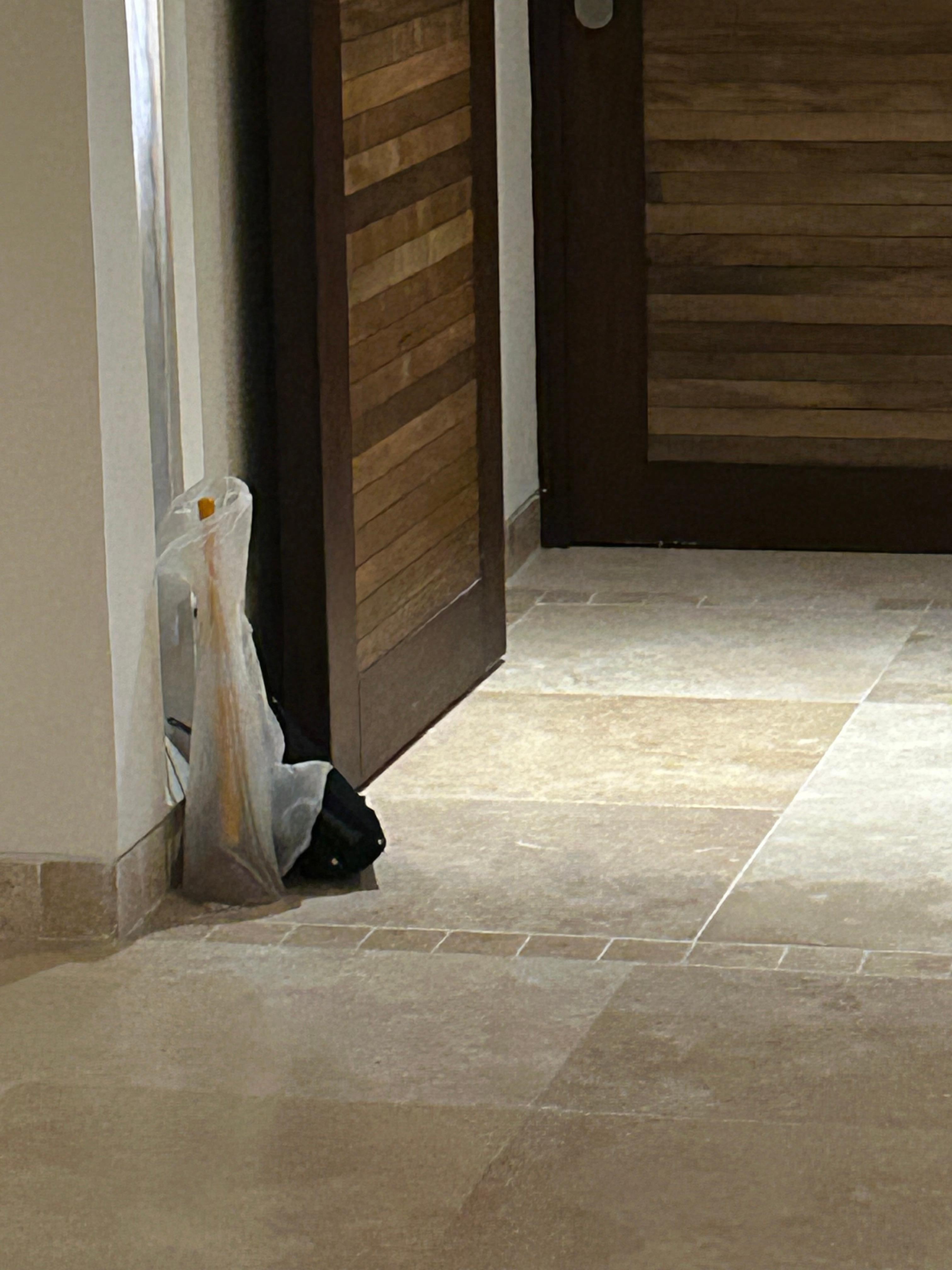 Toilet plunger outside of our door