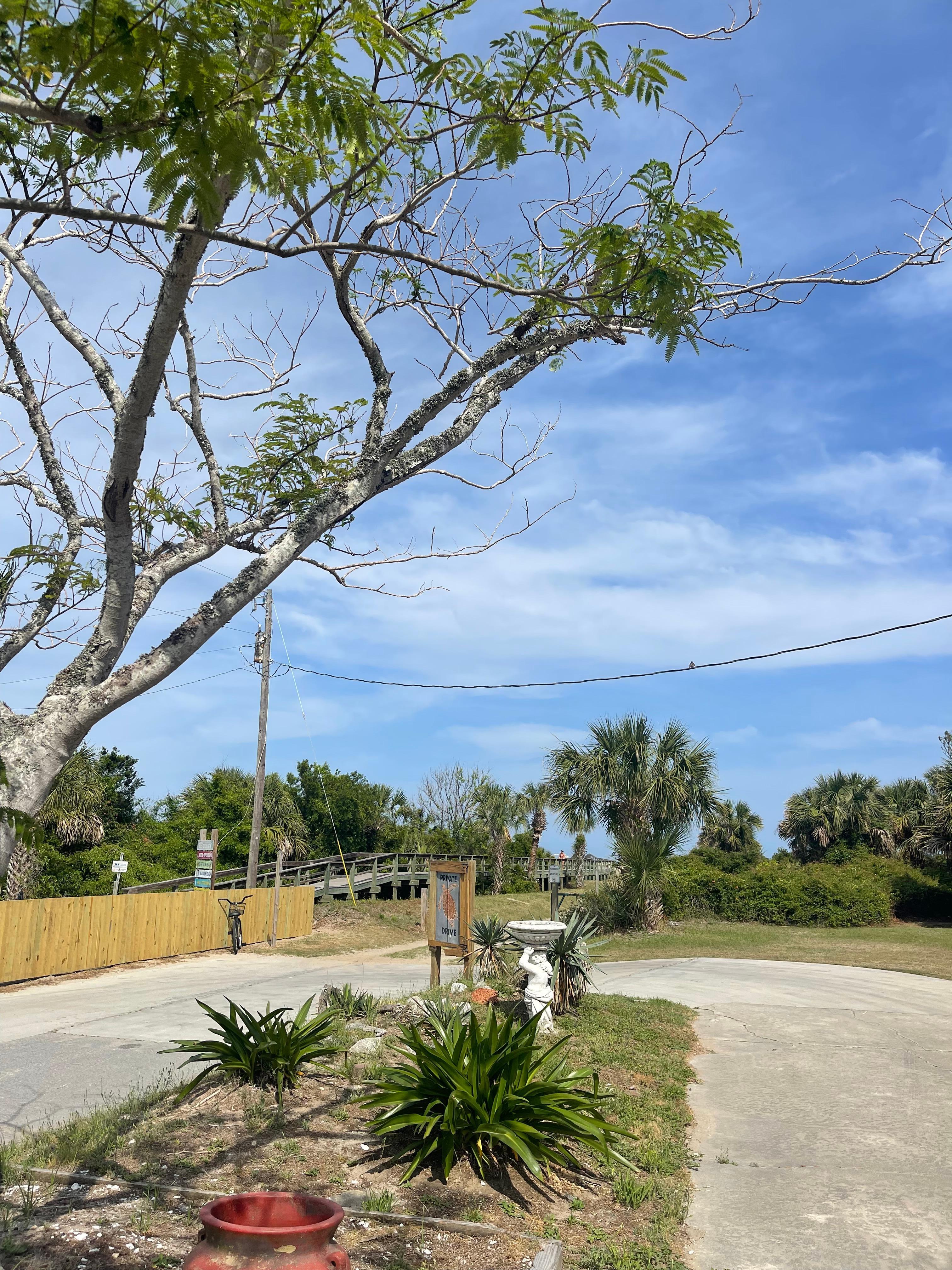 view from house