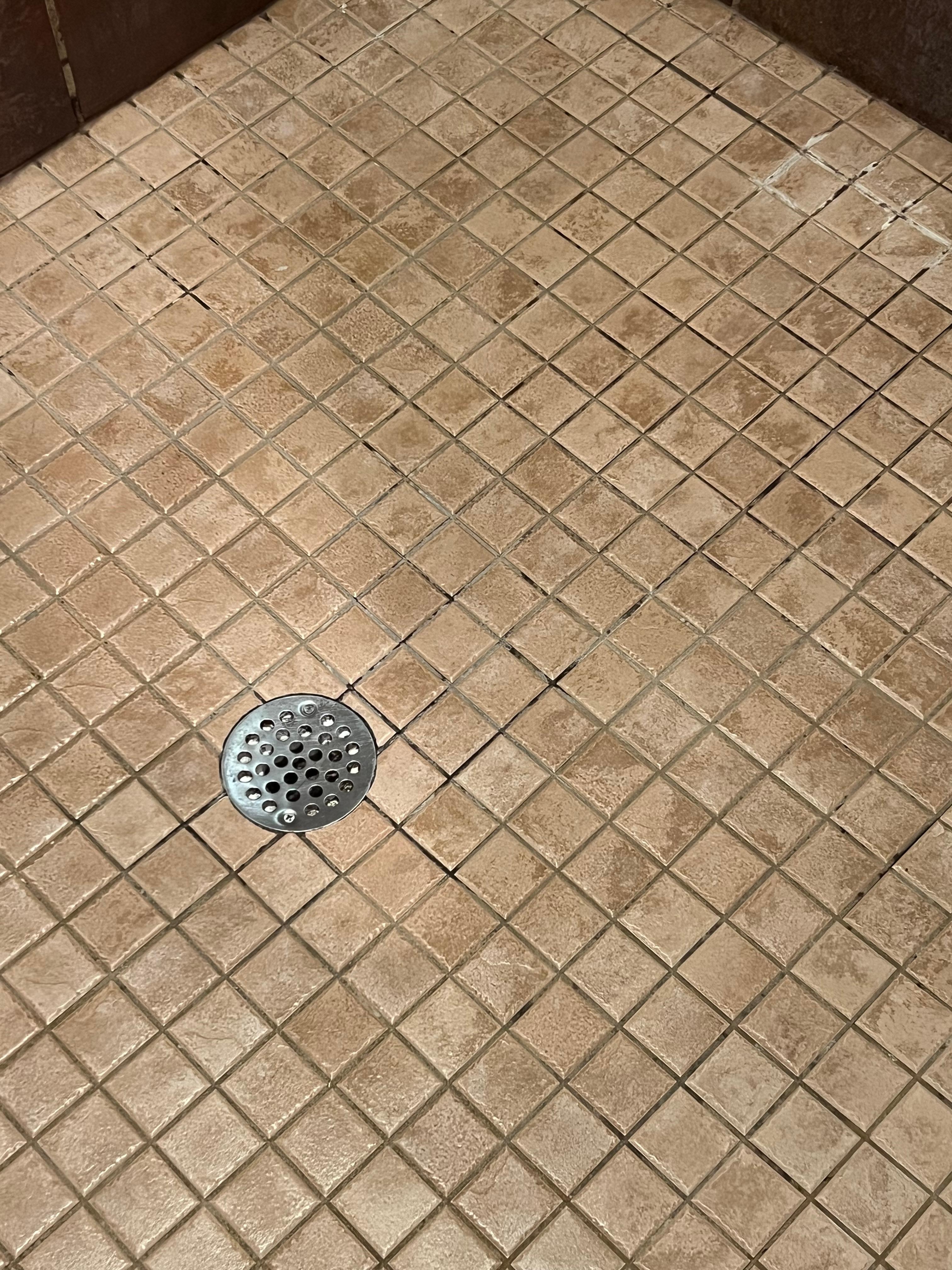 Mold in grout of shower