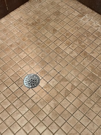 Mold in grout of shower