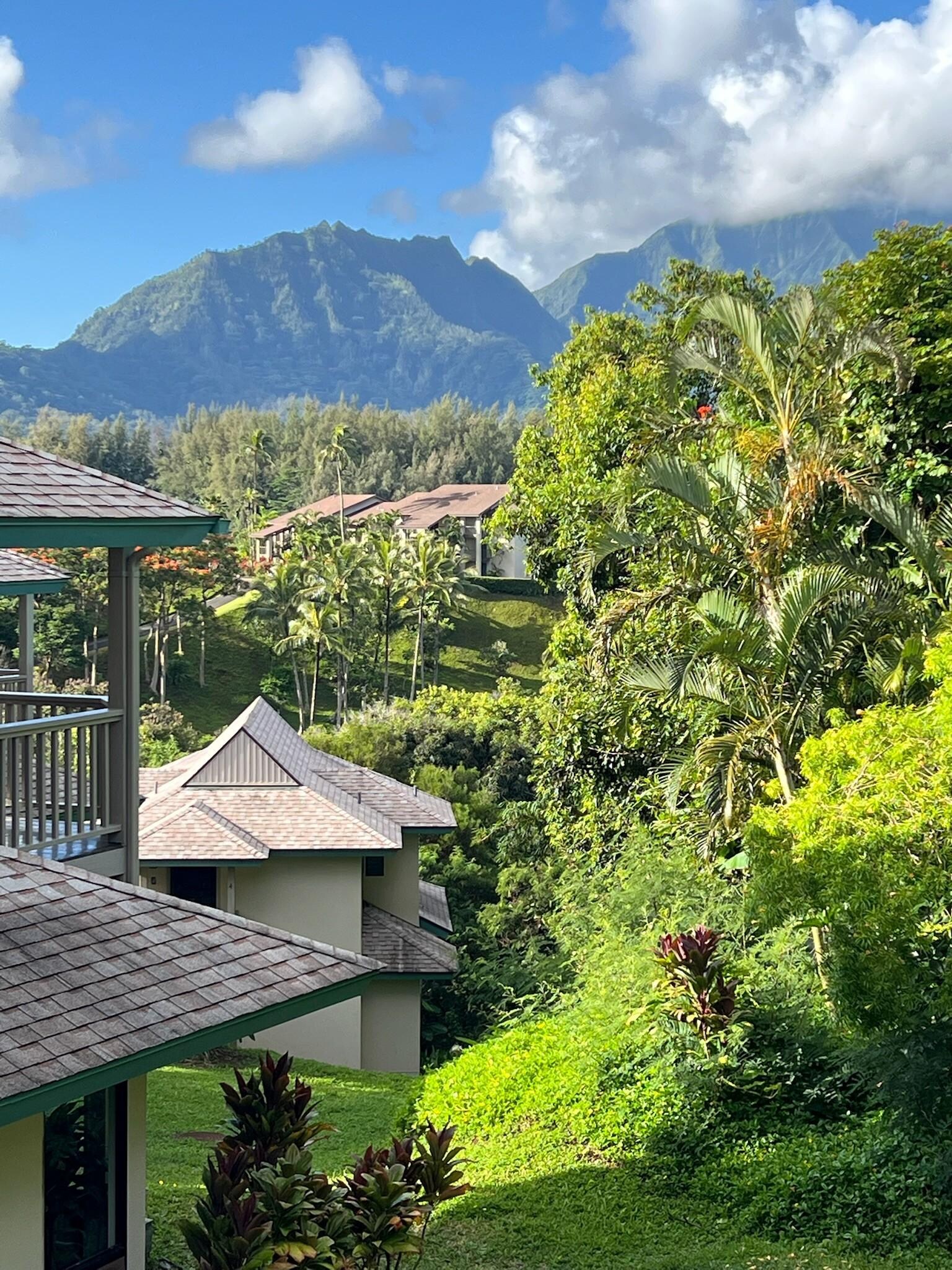 Balcony View!