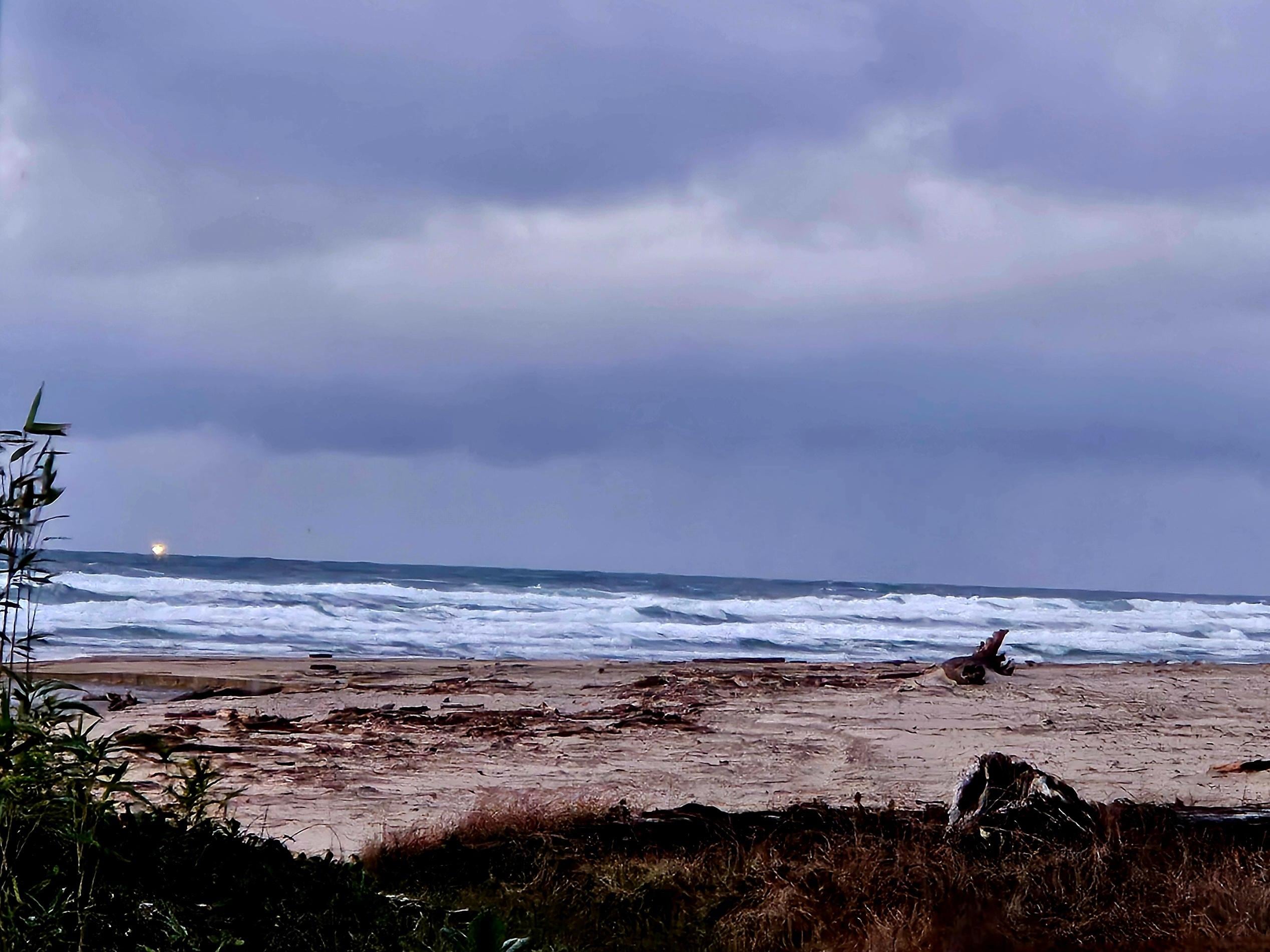 View from the cottage window.