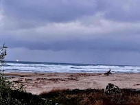 View from the cottage window.
