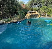 The pool waterfall was amazing in-person. The sound of the rushing water was so relaxing!