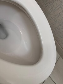 Dirty toilet seat