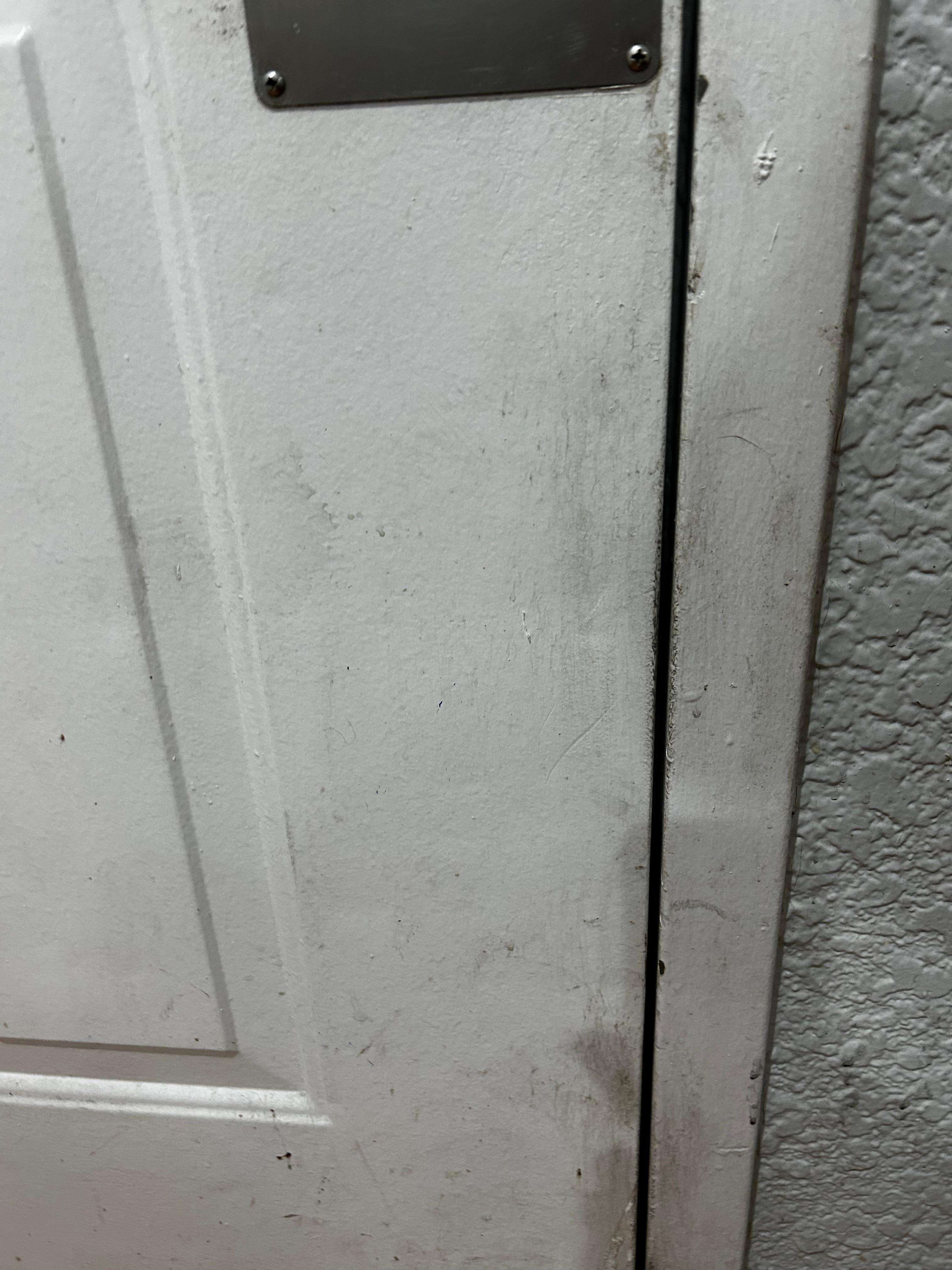 Filth and attempted break in on doir