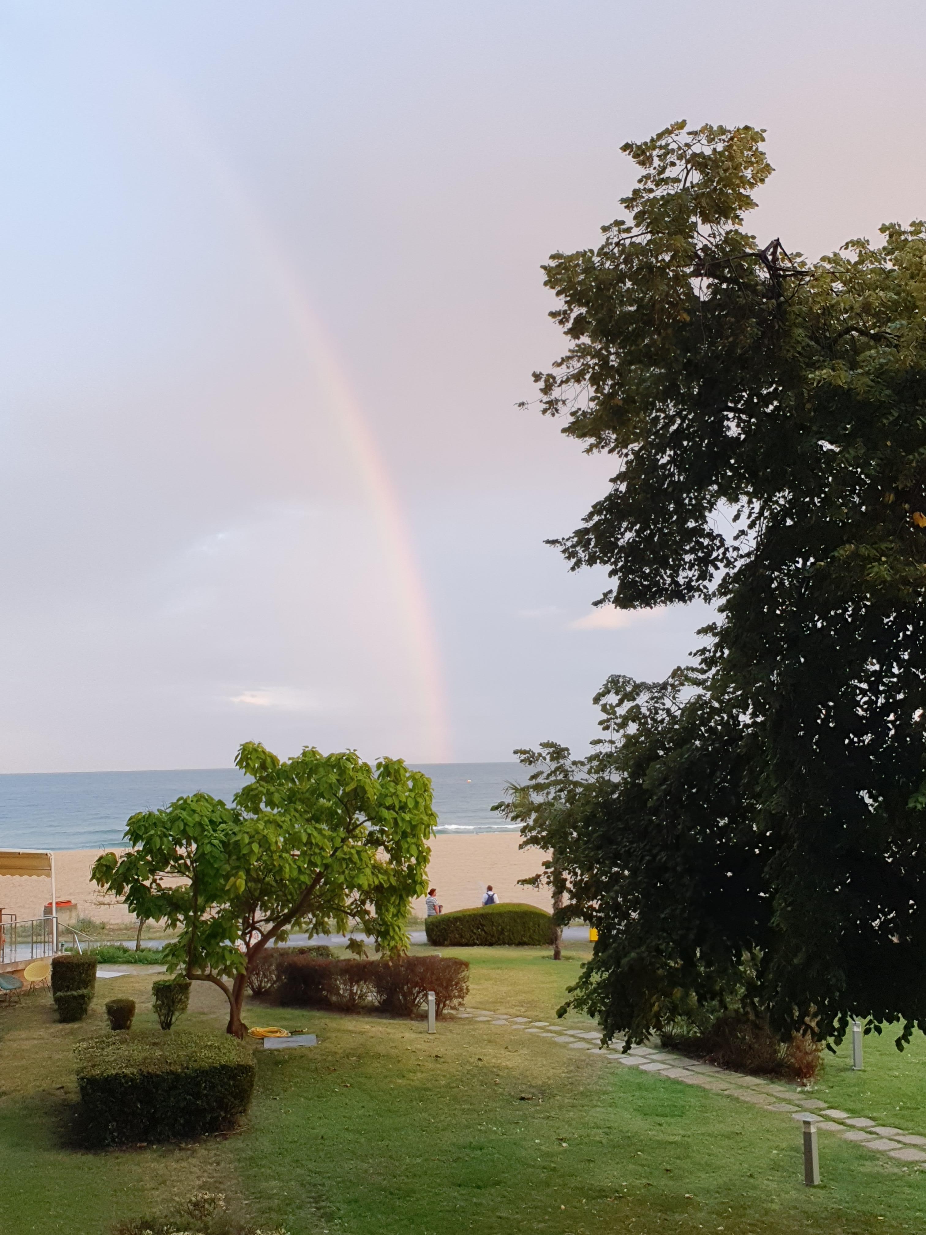 Vue depuis la chambre. 