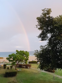 Vue depuis la chambre.