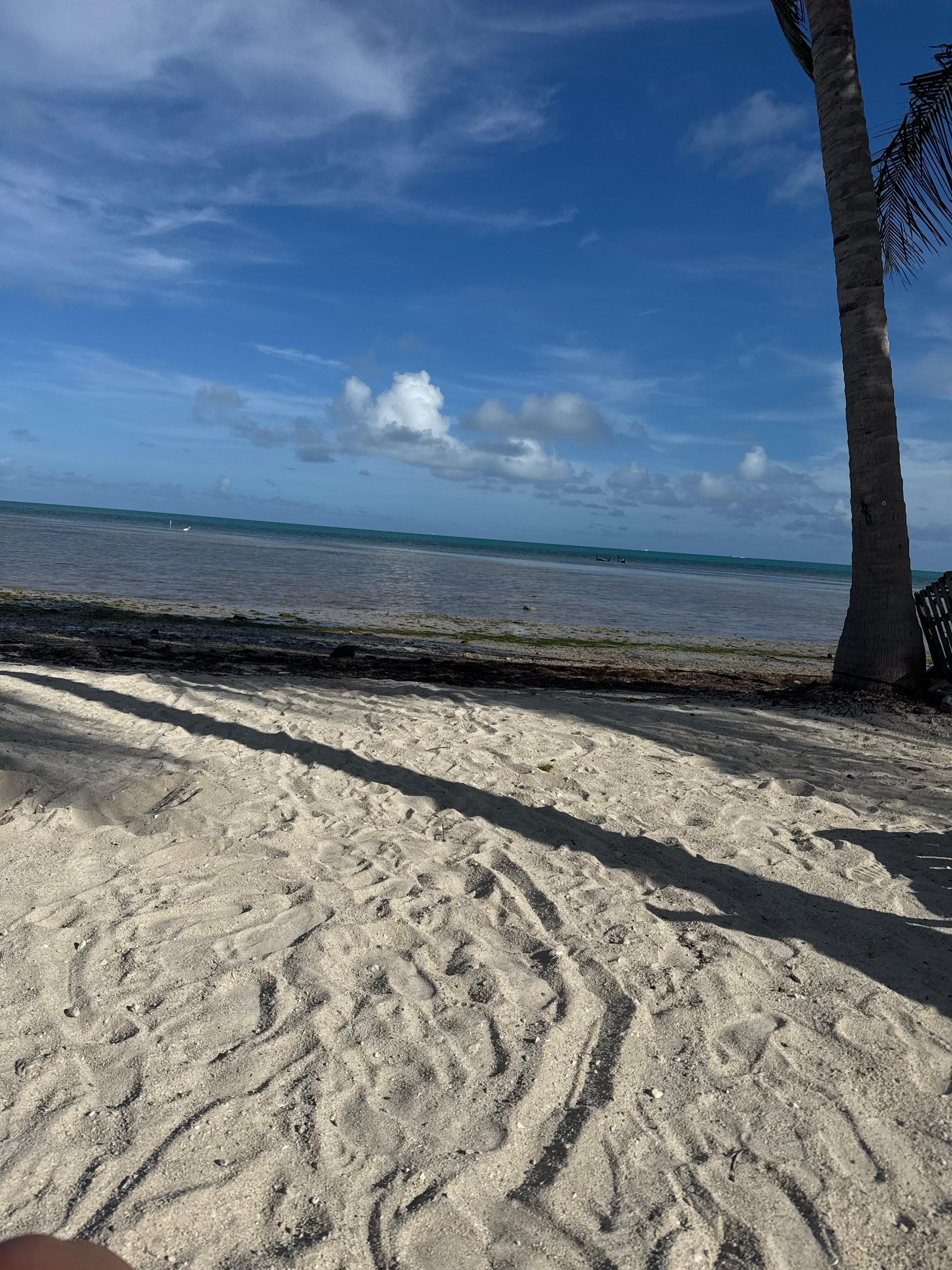 Private beach area. Amazing 