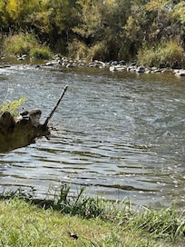 Gallatin River right behind the house!