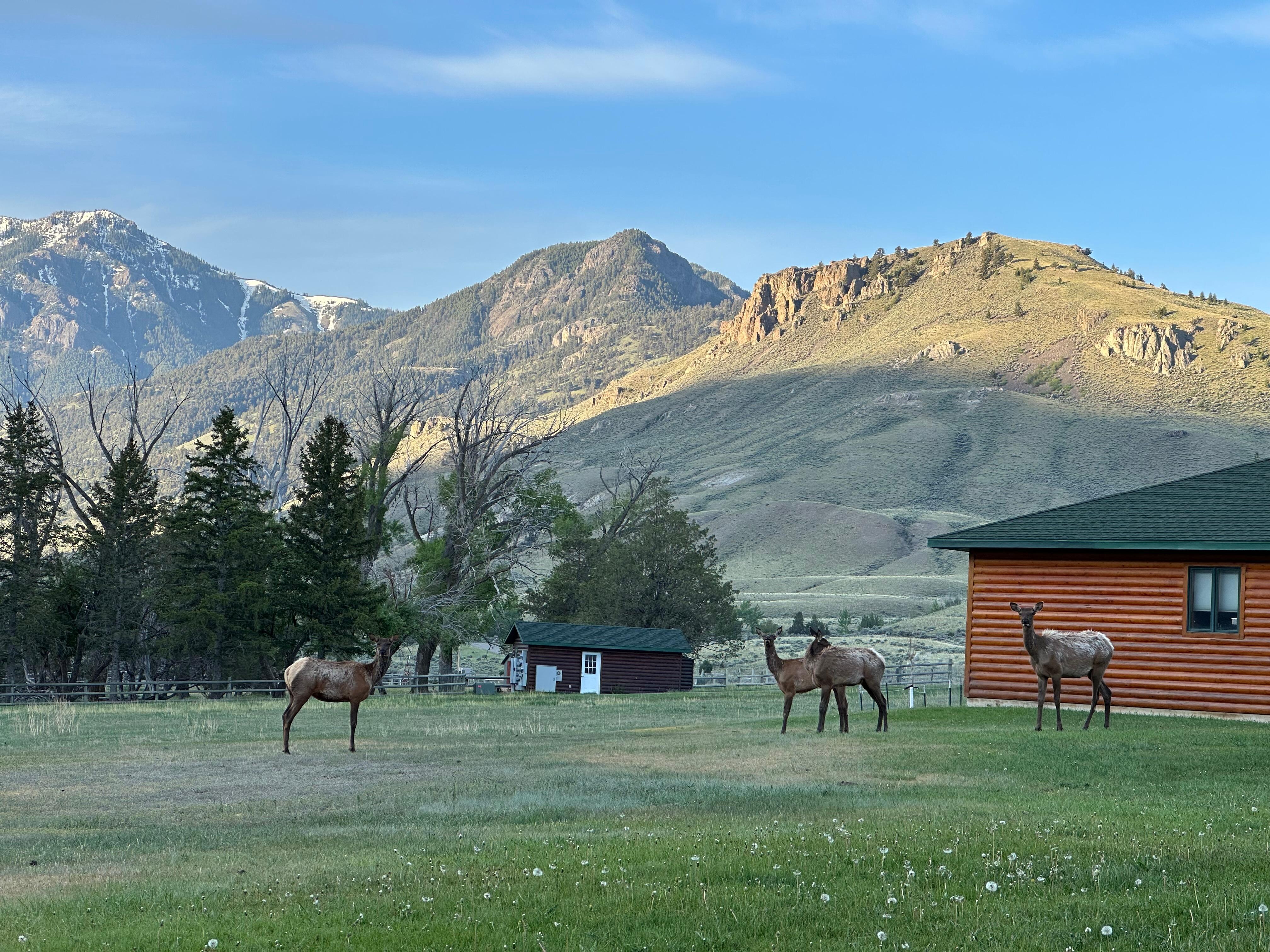 View from the porch
