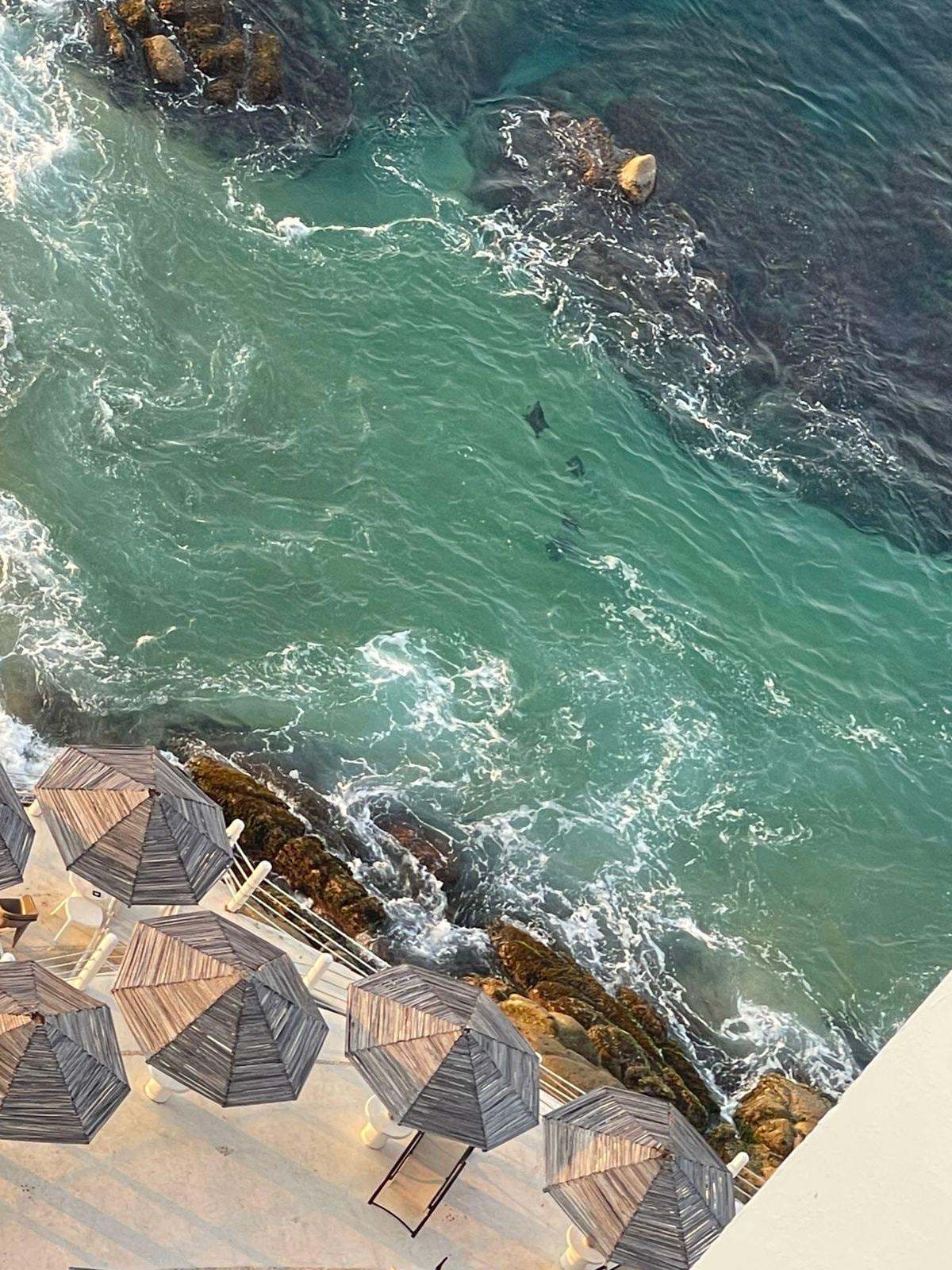 Pudimos observar bebés Rayas a la orilla del mar desde la habitación un lago rato 🥰