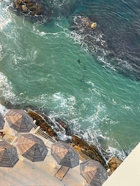 Pudimos observar bebés Rayas a la orilla del mar desde la habitación un lago rato 🥰
