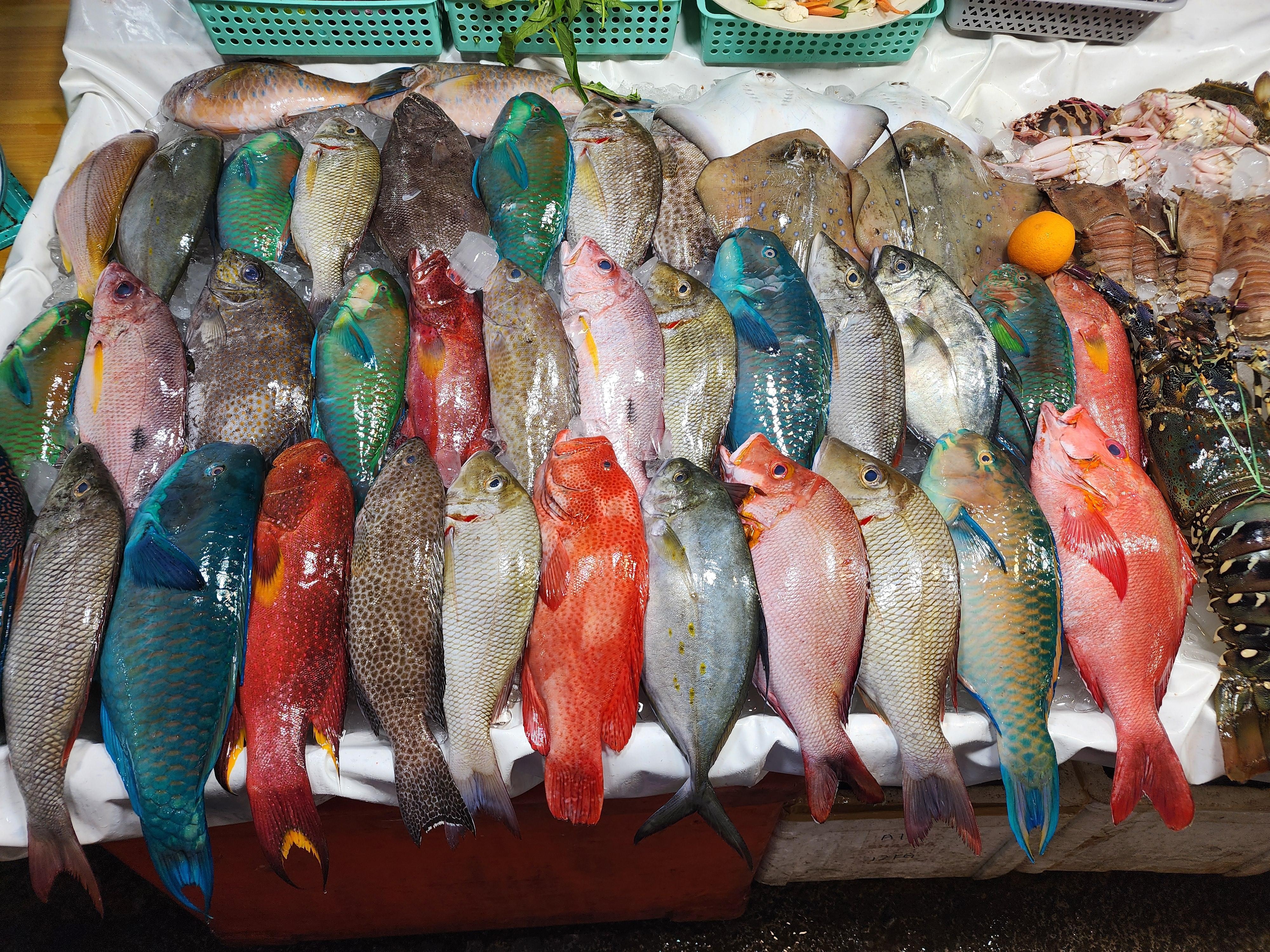 This time we had parrot fish sliced in half, one side steamed in lemon and ginger, other half grilled on bbq.