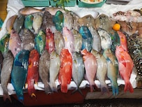 This time we had parrot fish sliced in half, one side steamed in lemon and ginger, other half grilled on bbq.