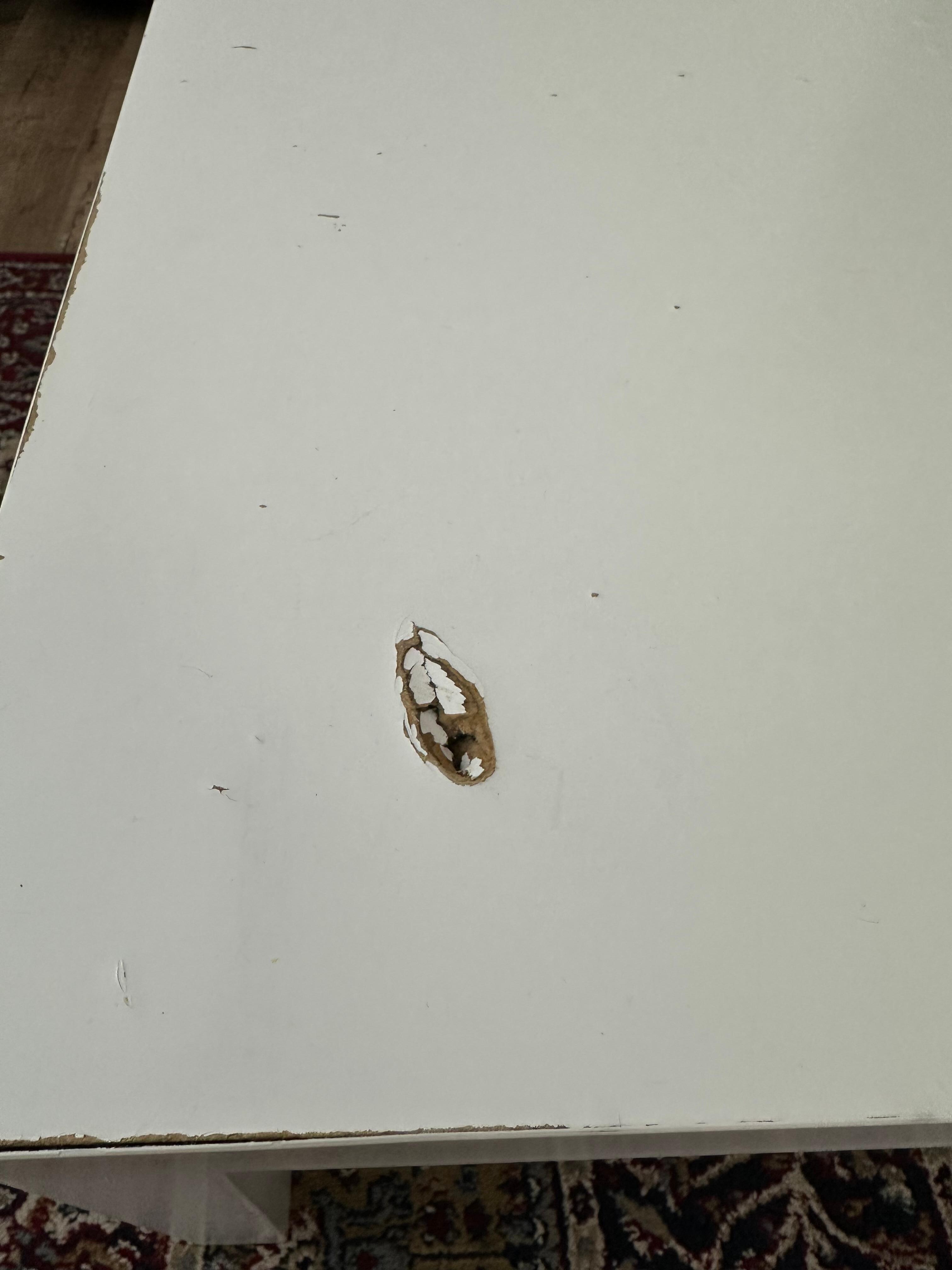 Holes in a lot of the furniture. 