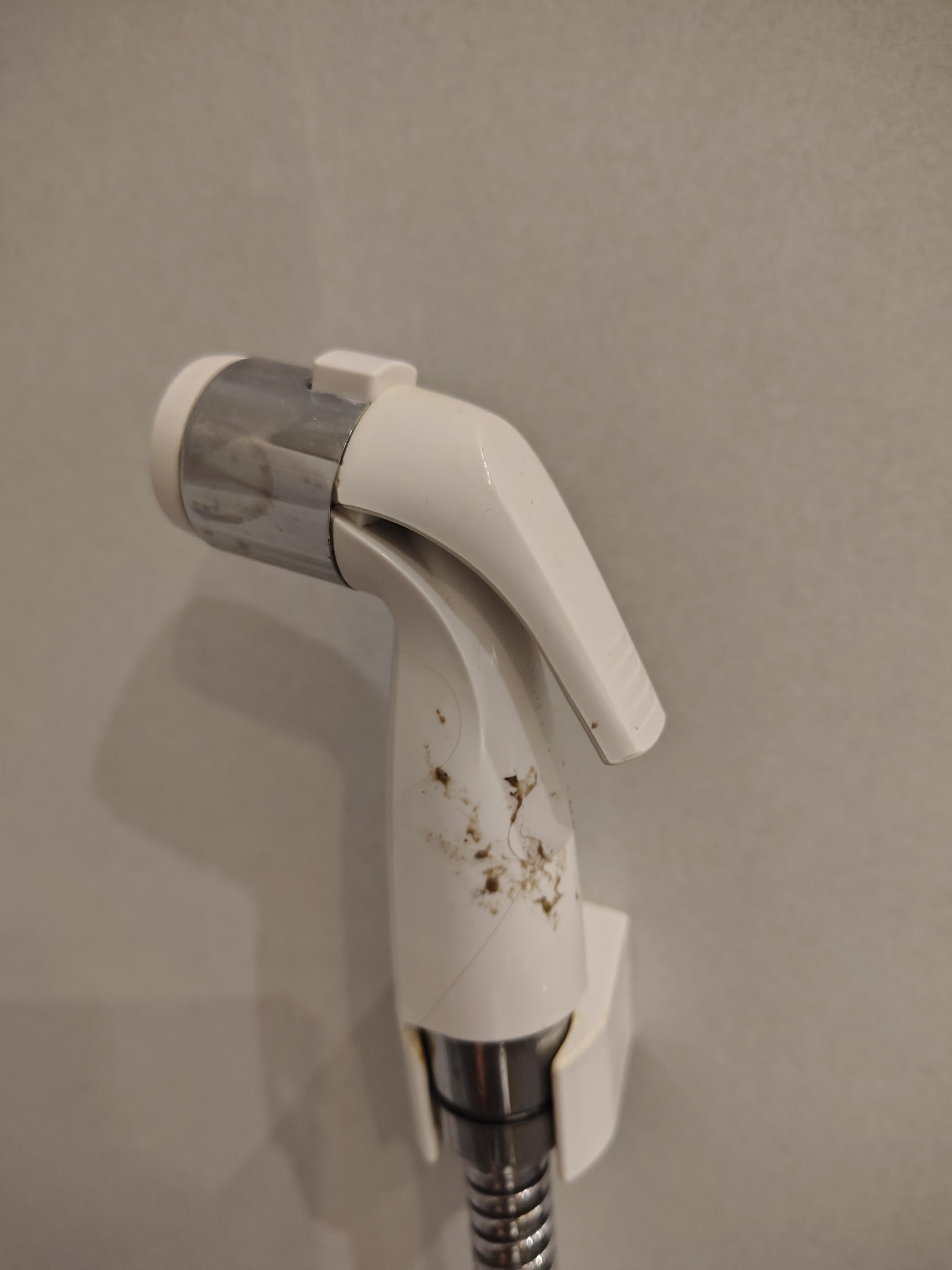 Feces on Bidet shower
