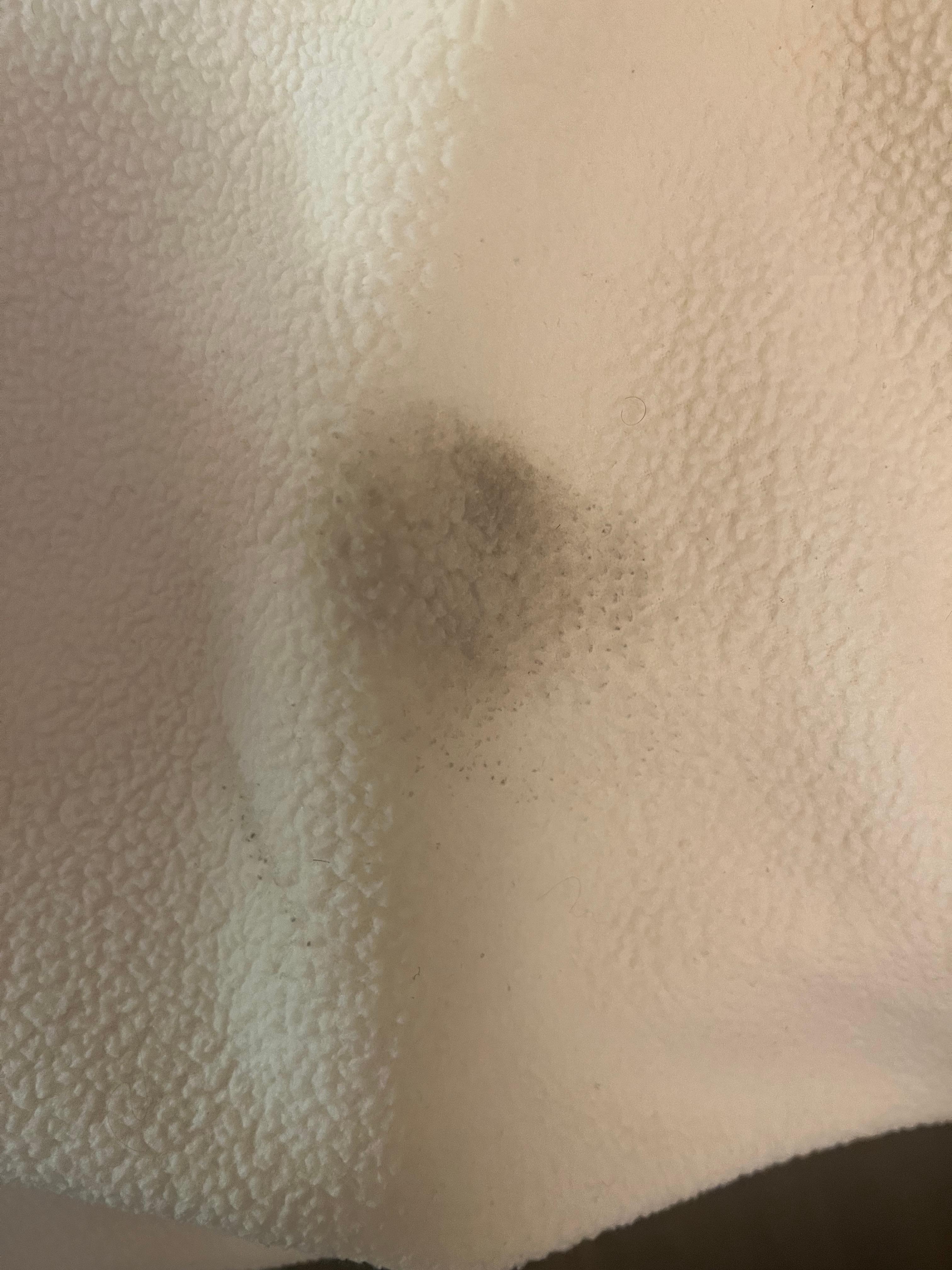 Dirty spot on the blanket the size of a hamburger. 