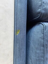 Stains on couch